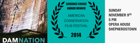 Audience Choice Winner Screens November 9